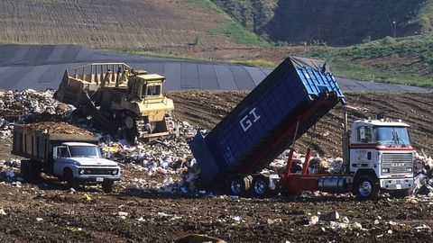 Extremophile Bacteria Could Ease Our Rubbish Problem