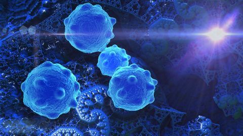 New Cutting-edge Cancer Imaging Network Is Established