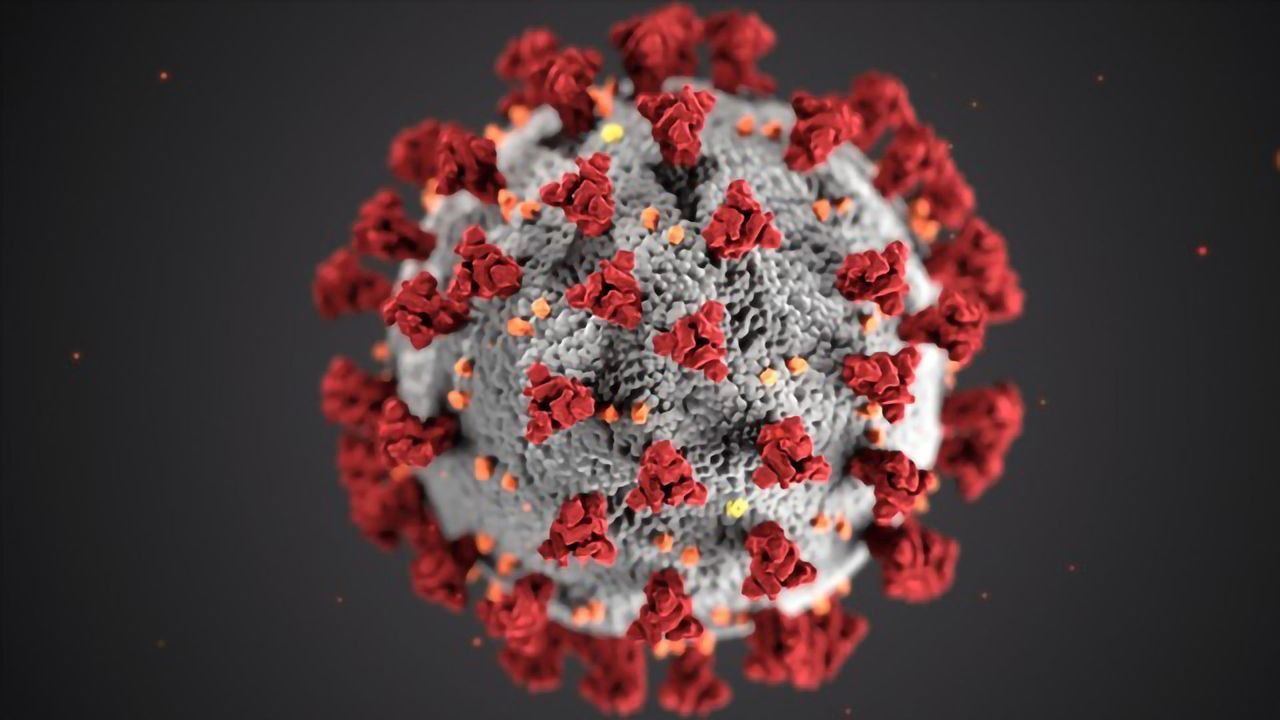 The Quest for the Coronavirus Vaccine