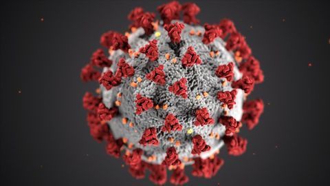 The Quest for the Coronavirus Vaccine