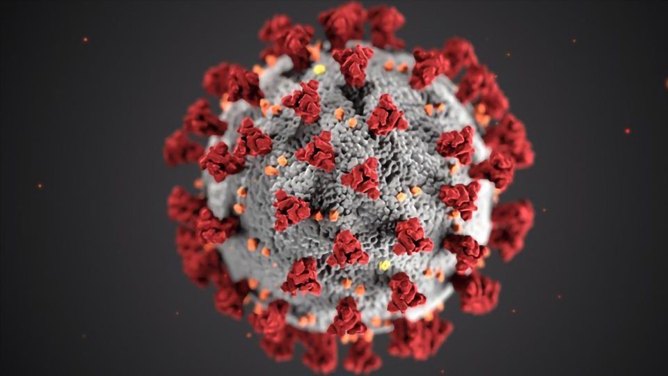 The Quest for the Coronavirus Vaccine content piece image