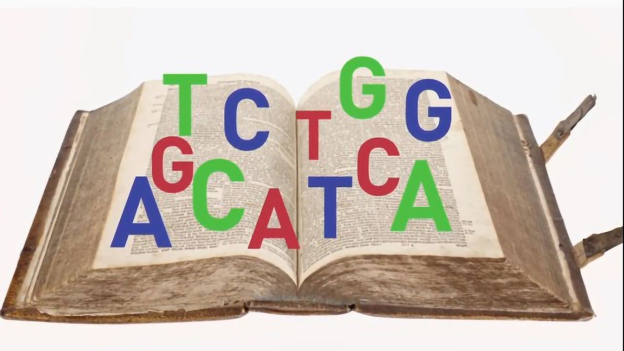 Whole Genome Sequencing for Infectious Disease Outbreaks