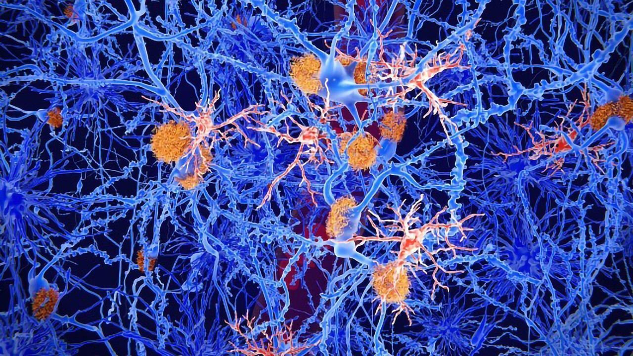 Spinal Nerve Healing Enhanced by Boost in Cellular Energy, New Findings Reveal