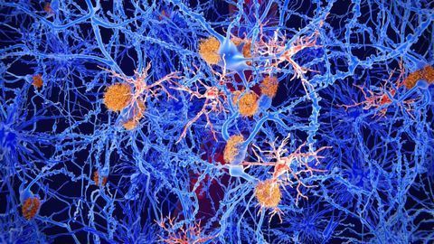 Spinal Nerve Healing Enhanced by Boost in Cellular Energy, New Findings Reveal