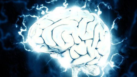 Cognitive Intelligence is a Whole Brain Phenomenon, According to New Findings