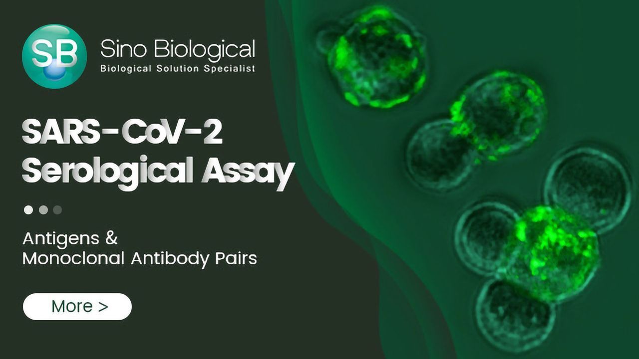 Reagents for Serological Assay of SARS-CoV-2