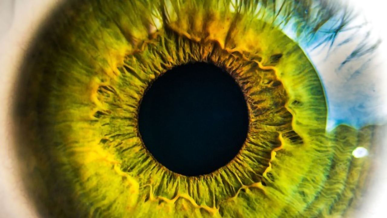 New Advances in the Production of Retinal Cells for Treating Blindness