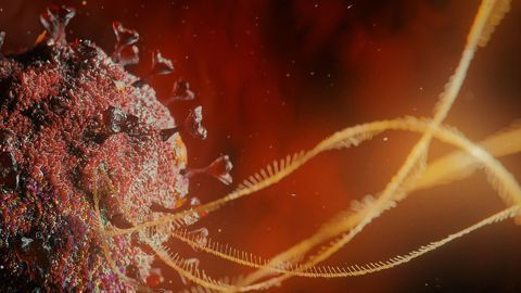 Sorrento and SmartPharm To Collaborate in Development of Novel Gene-encoded Antibody Vaccine Against COVID-19