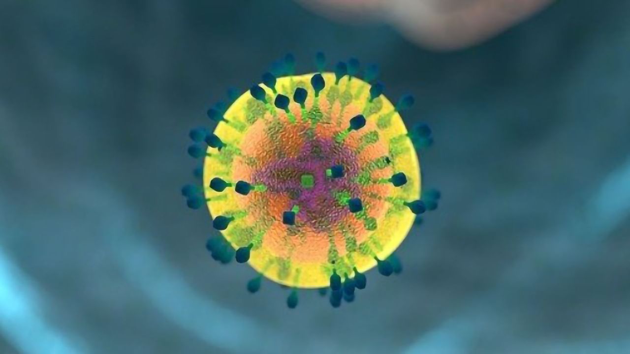 Biological "Atlas" Reveals Immune Cell's Dual Personality