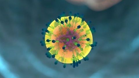 Biological "Atlas" Reveals Immune Cell's Dual Personality