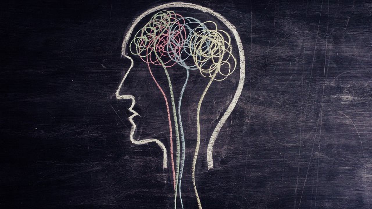 Brain Organoids Offer Clues to Microcephaly