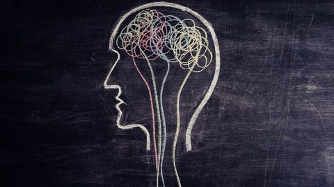 Brain Organoids Offer Clues to Microcephaly