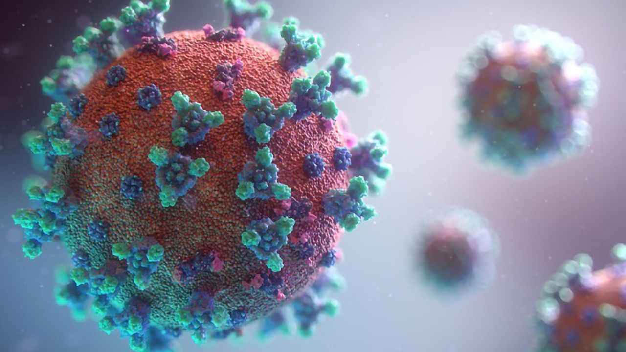 COVID-19: Screening Antiviral Drugs Using SARS-CoV-2 Infection Models