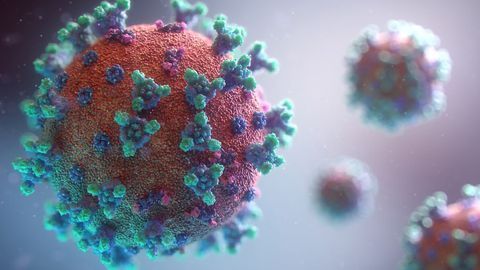 A Point-of-Care CRISPR-based COVID-19 Diagnostic Could Be on the Horizon