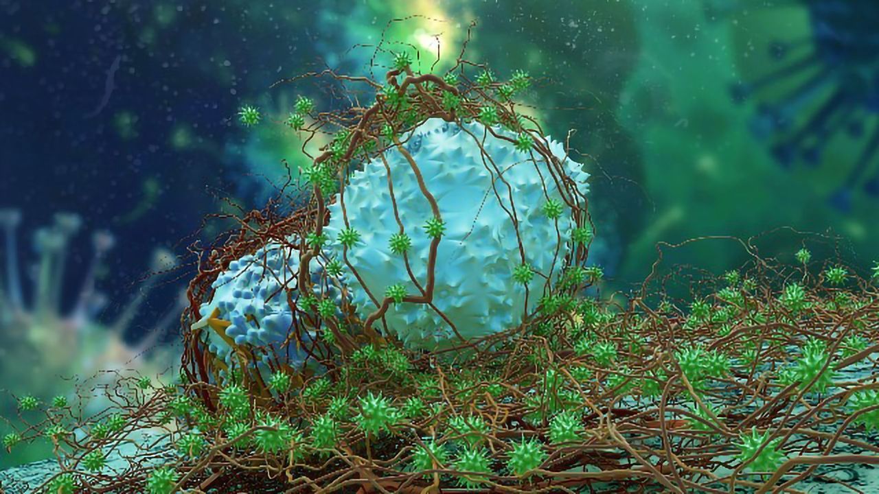 Could a CAR-T Version 2.0 Be on the Way?
