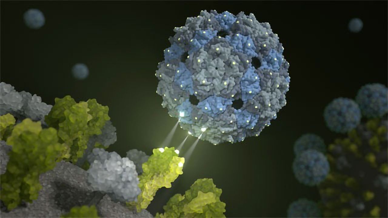 Phage - Using a Virus Against a Virus