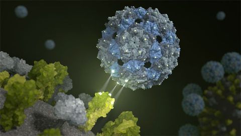 Phage - Using a Virus Against a Virus