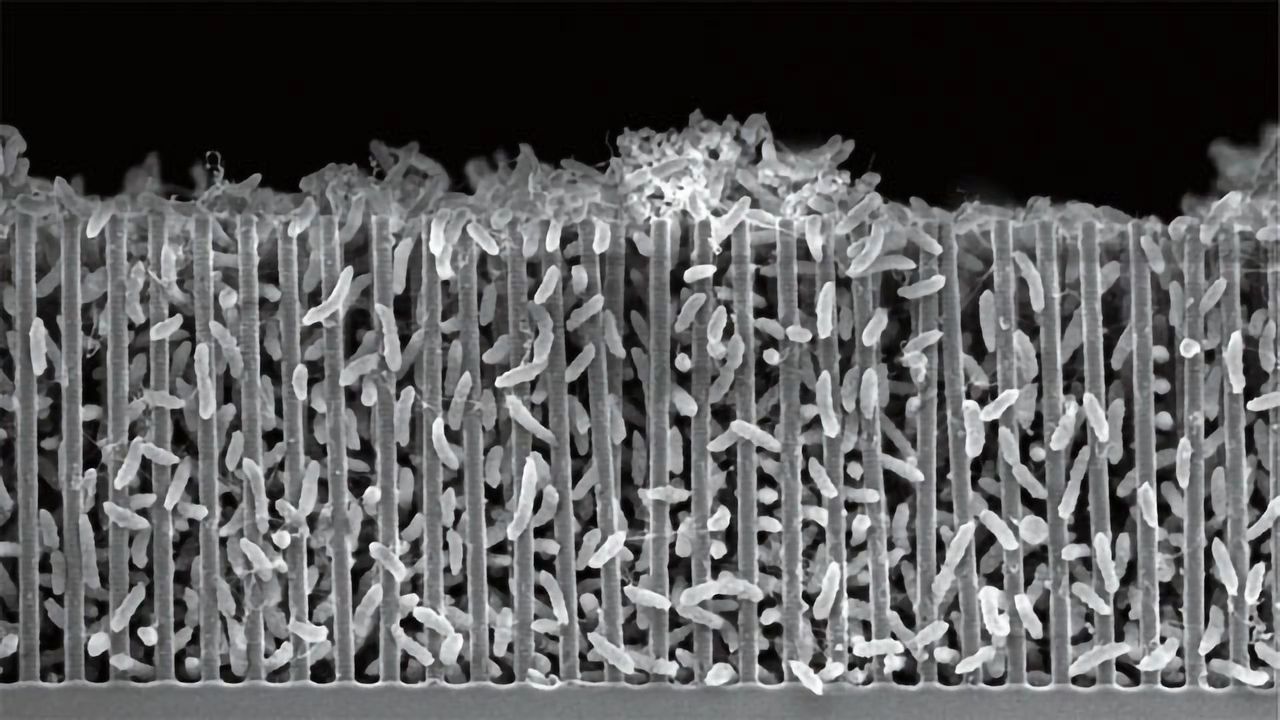 Chemists Plan For Life on Mars