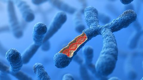 Improving Cancer Outcomes With Genetics