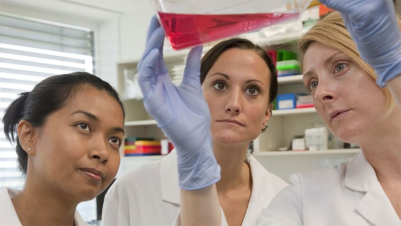 Optimizing the Production of AAV in Sf9 Insect Cells