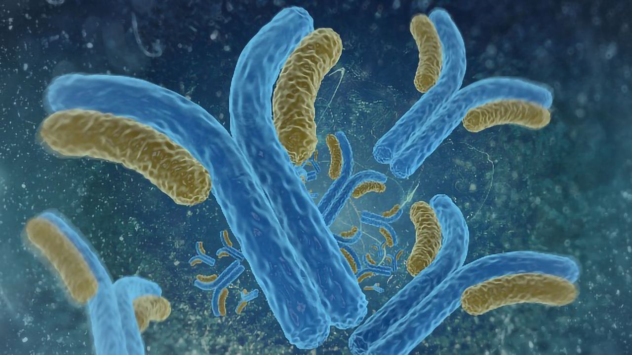 Carterra to Provide Antibody Screening and Characterization for the Coronavirus Immunotherapy Consortium (CoVIC)
