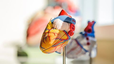 Positive Early-stage Results for Novel Micro-RNA Therapeutic for Ischemic Heart Diseases