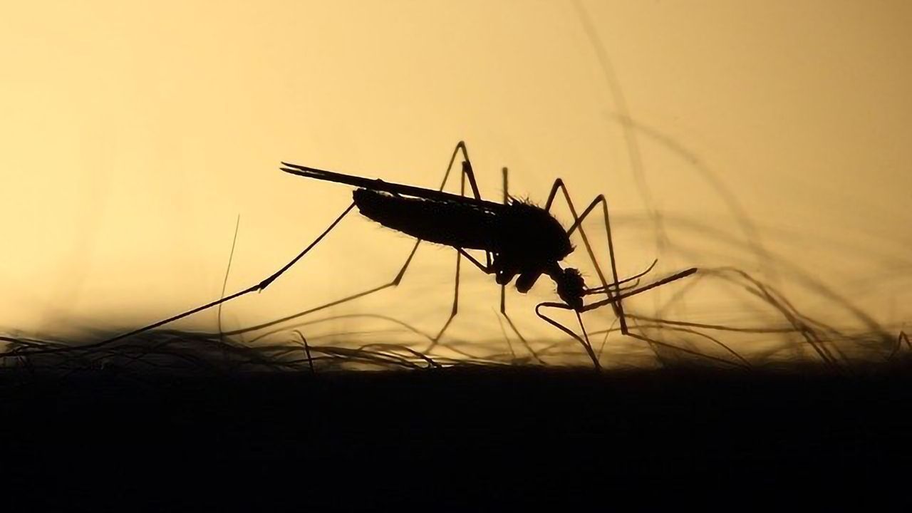 Success in Next Phase of Open Source Malaria Initiative