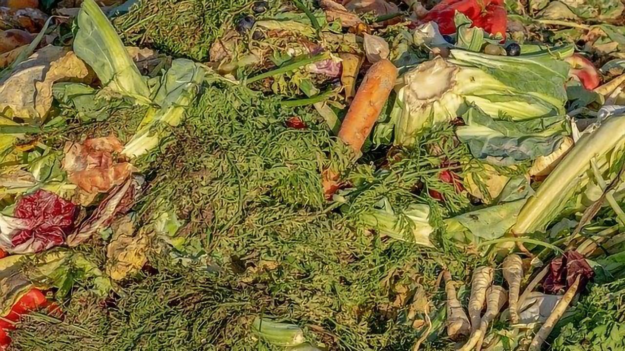 Could Food Waste Be Valuable?