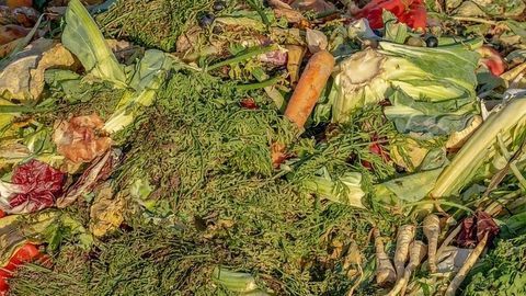 Could Food Waste Be Valuable?
