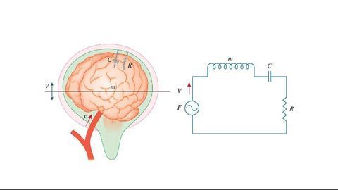 Innovative Technique Measures Pressure in the Skull Using the Brain's Natural Resonance Frequency