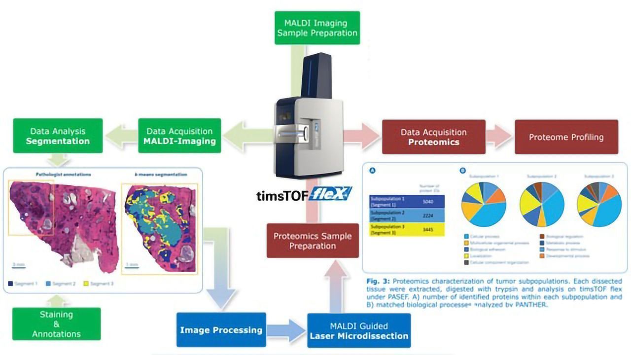 Combining Imaging and OMICs: MALDI Guided SpatialOMx® Probes Proteomic Mass Profiles of Breast Cancer Tumor Subpopulations