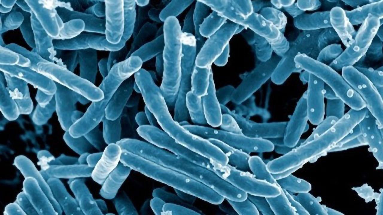 Stopping TB in Its Tracks