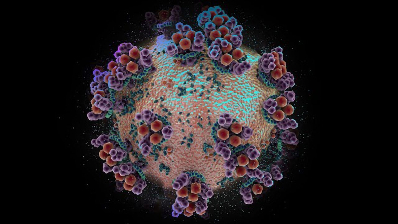 Trial Drug Blocks Early Stages of COVID-19 in Engineered Human Tissues