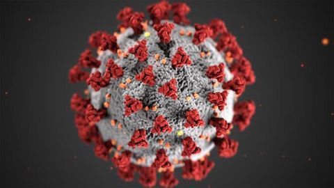 Siemens Healthineers Releases Test Kit for SARS-CoV-2