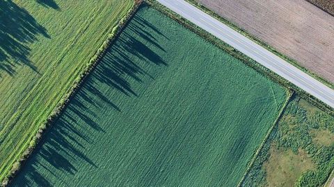 Tackling Nitrate Pollution A "Greener" Way