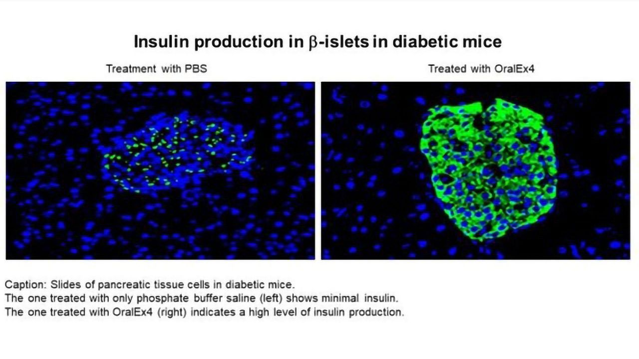 Linking Biological Molecules to Fatty Acids To Aid Drug Delivery