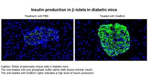 Linking Biological Molecules to Fatty Acids To Aid Drug Delivery