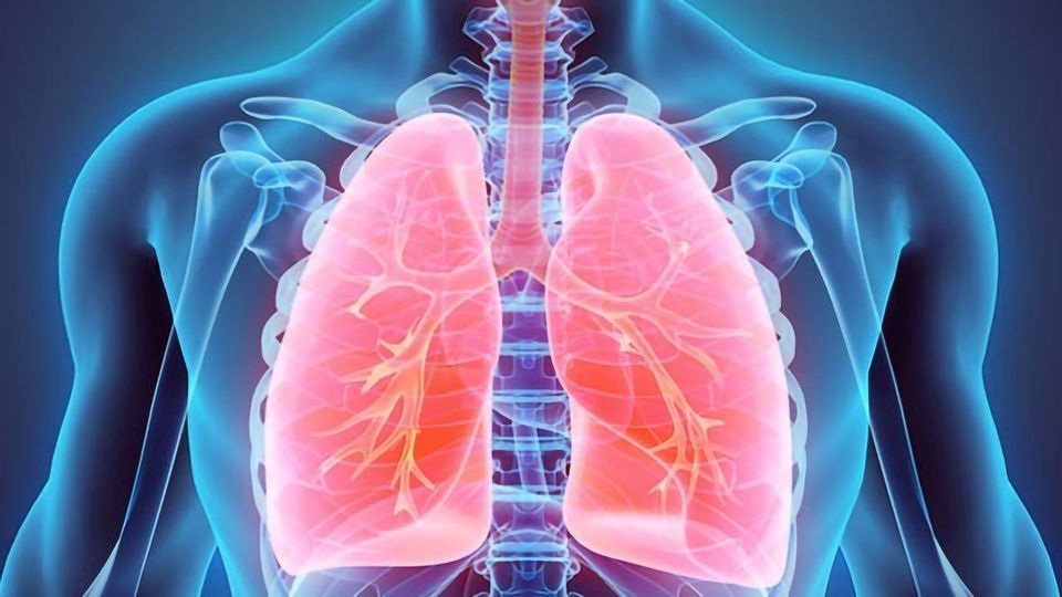 Clinical Trial Assesses Anti-clotting Drug for Treatment of COVID-19-related Respiratory Failure content piece image