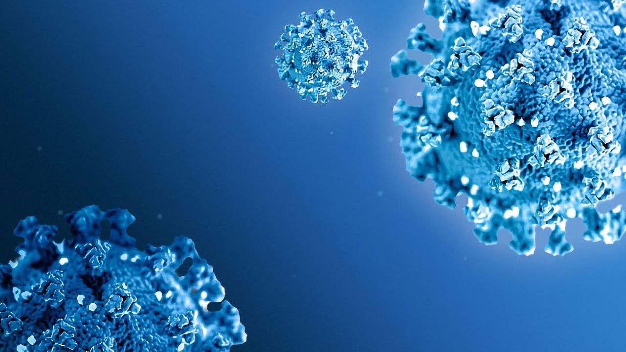 Team From Texas A&M Works on Drugs To Treat COVID-19