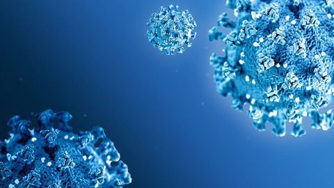 Team From Texas A&M Works on Drugs To Treat COVID-19