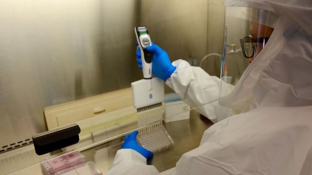 Antiviral Against COVID-19 Reduces Damage in Mouse Lungs