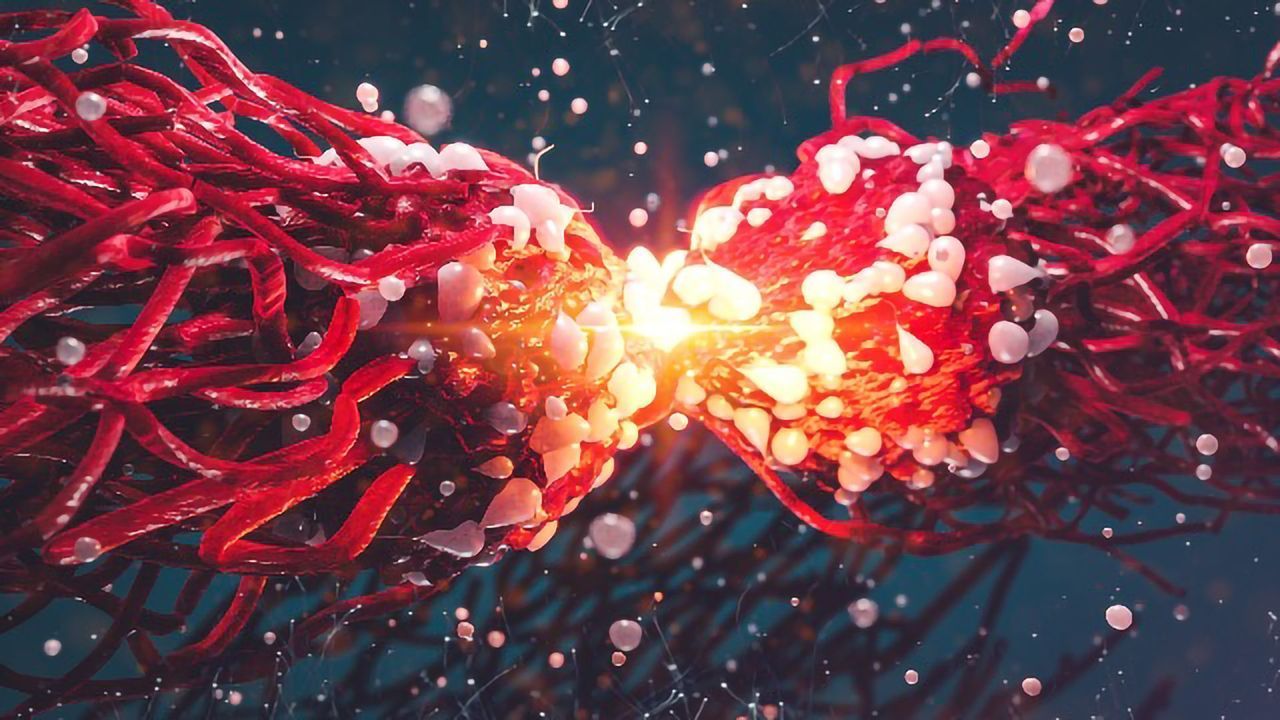 Developing Personalized Strategies To Maximize Cancer Therapy Success