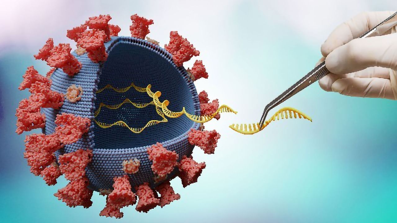 Total Nucleic Acid Extraction for Pathogen Detection