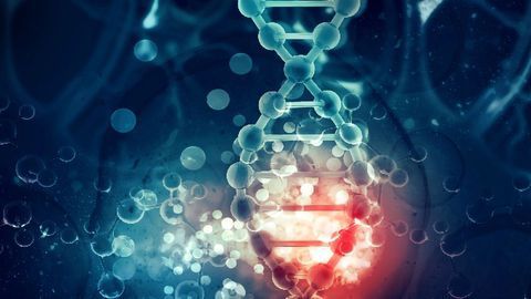 Genes Sow the Seeds of Psychiatric Disorders Before Birth