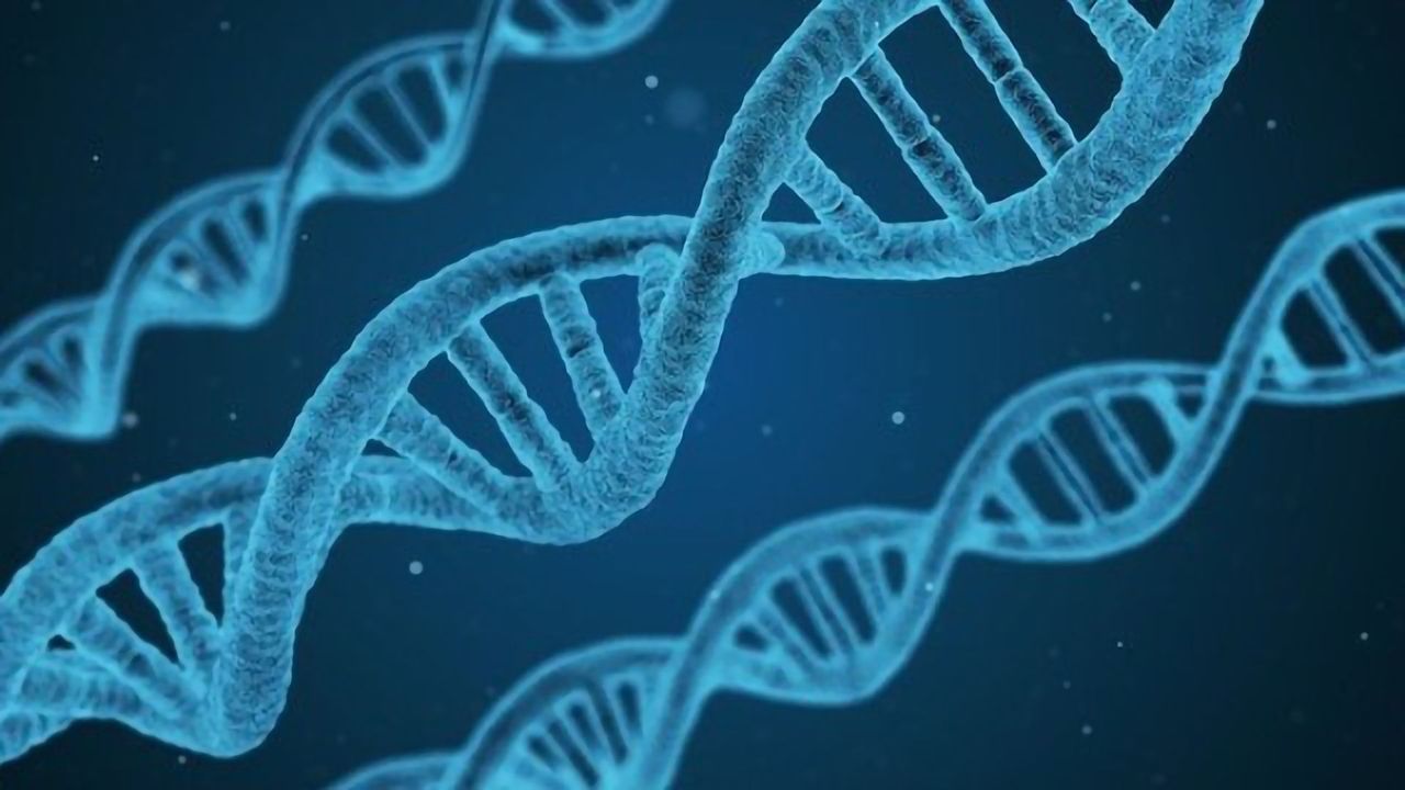 Wyatt Technology Pioneers Multi-CQA Method for Gene Vectors