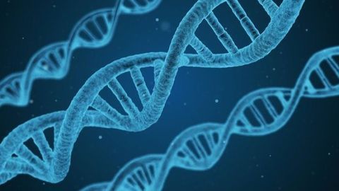 Wyatt Technology Pioneers Multi-CQA Method for Gene Vectors