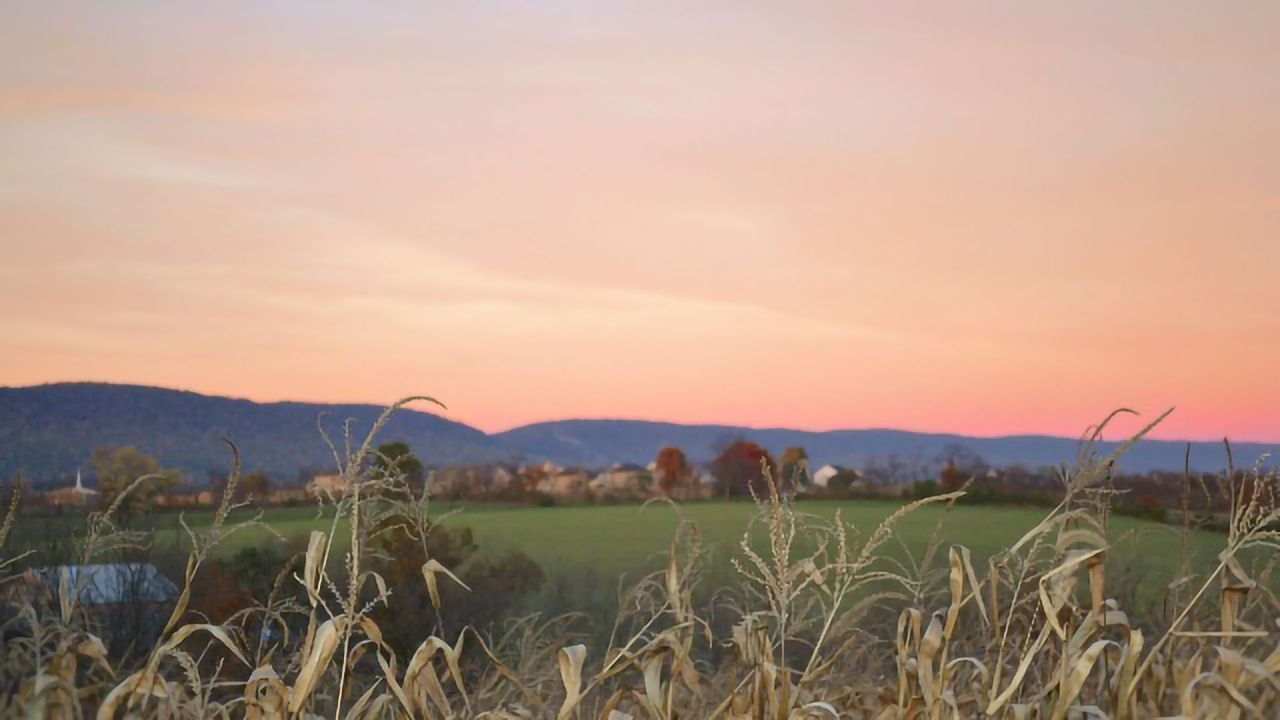 Tool To Study Genes Responsible for Herbicide Resistance