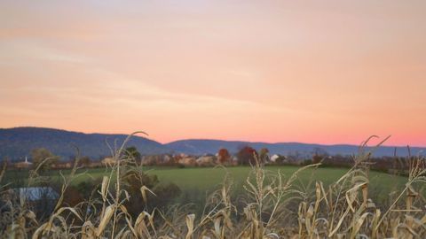 Tool To Study Genes Responsible for Herbicide Resistance