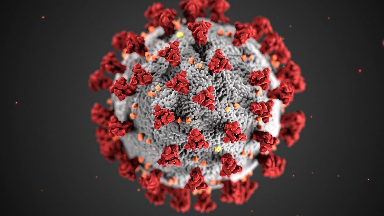 What Cells Does SARS-CoV-2 Attack?