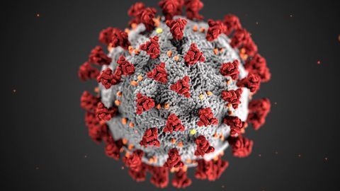 What Cells Does SARS-CoV-2 Attack?